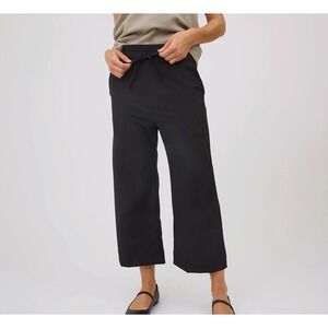 Albion Fit TALL Audrey Wide Leg Ankle Pants Black Small Lightweight Minimalist